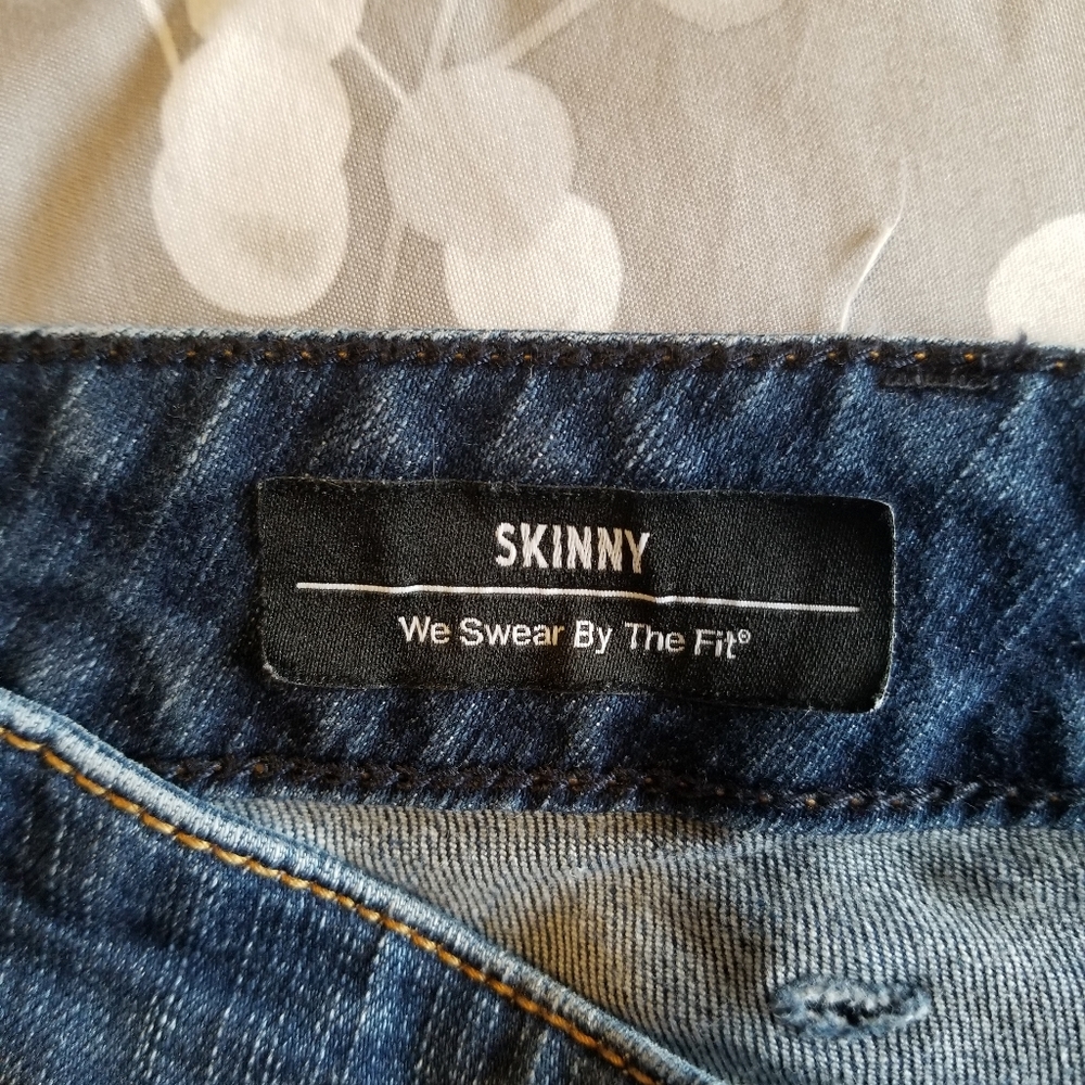 Torrid Skinny Jeans